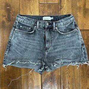 Stockholm Atelier & Other Stories Gray Denim Shorts